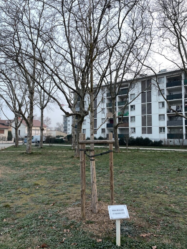 Les élèves de 4e du collège Honoré de Balzac de Vénissieux s'initient à la poésie. 