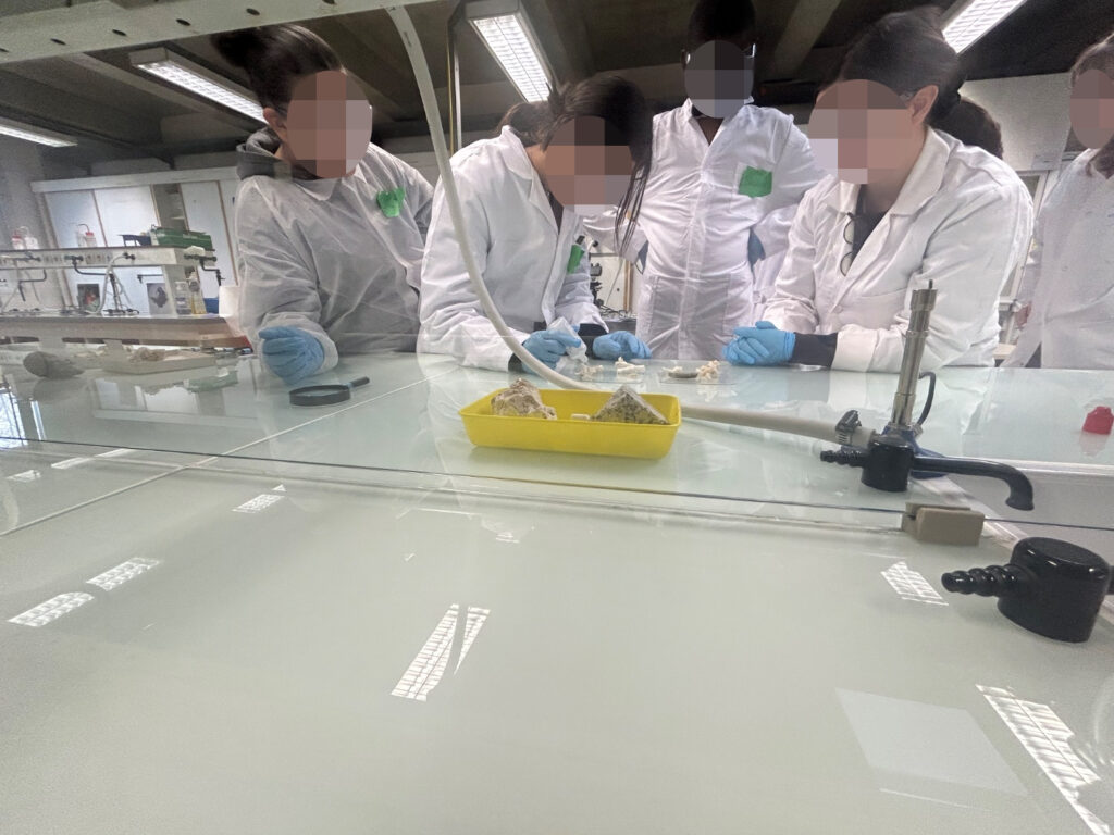 Les élèves du collège Honoré de Balzac de Vénissieux se sont rendus à l’École normale supérieure de Lyon pour participer à des ateliers scientifiques.