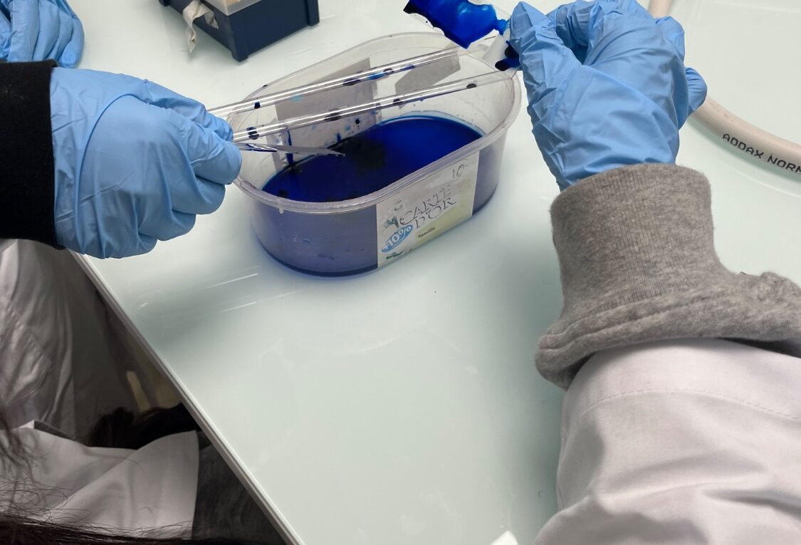Les élèves du collège Honoré de Balzac de Vénissieux se sont rendus à l’École normale supérieure de Lyon pour participer à des ateliers scientifiques.