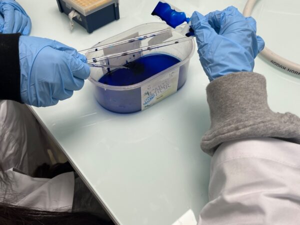 Les élèves du collège Honoré de Balzac de Vénissieux se sont rendus à l’École normale supérieure de Lyon pour participer à des ateliers scientifiques.