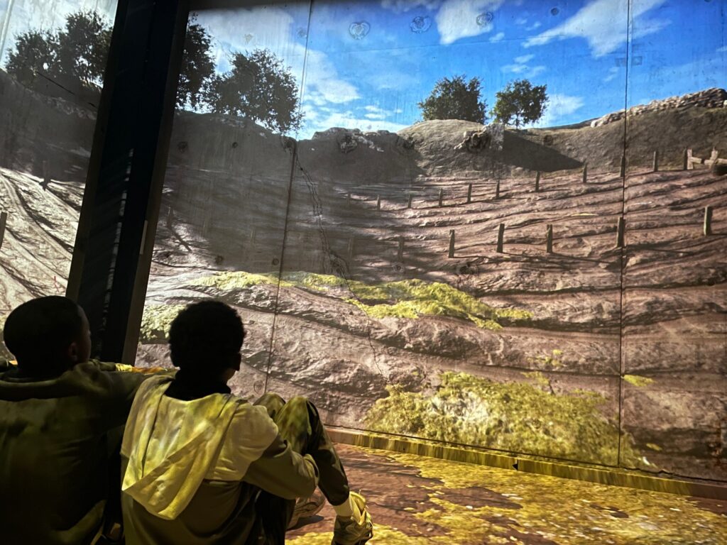 Les élèves latinistes de 3e du collège Honoré de Balzac de Vénissieux ont participé à un atelier les initiant à la fouille archéologique.